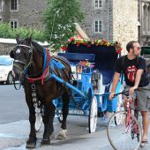 Comment se déplacer à Montréal