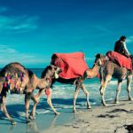 Comment voyager moins cher en Tunisie ?