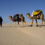 Comment faire une excursion au désert tunisien ?