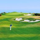 Golf Cirtus Hammamet