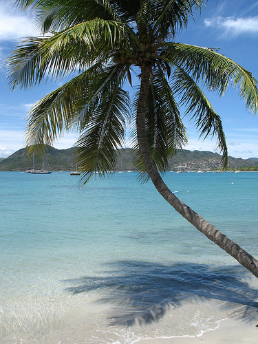 Séjour en Martinique : Quelle agence de voyage choisir ?