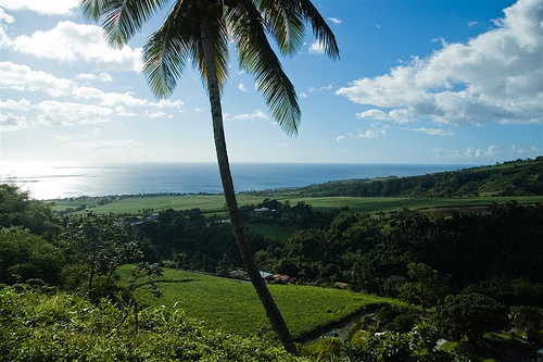 Séjour pas cher Martinique : la Martinique aux plus bas prix