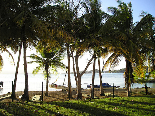 Pourquoi choisir la formule voyage tout inclus pour votre séjour en Guadeloupe ?
