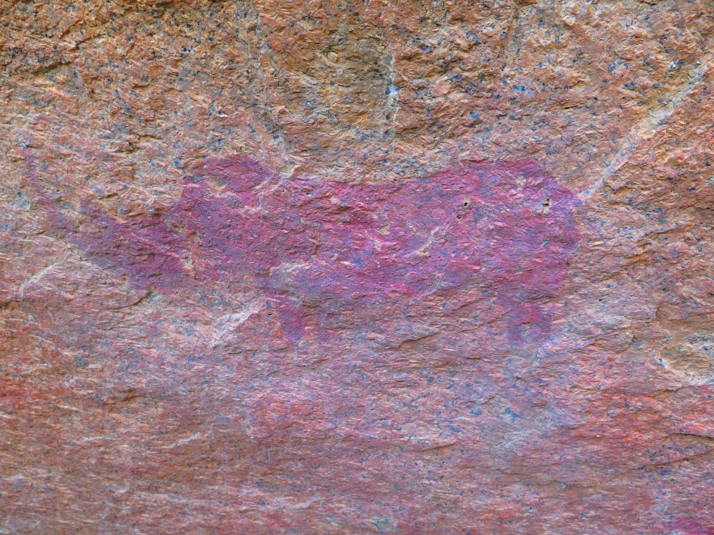 Art rupestre - Spitzkoppe, Namibie